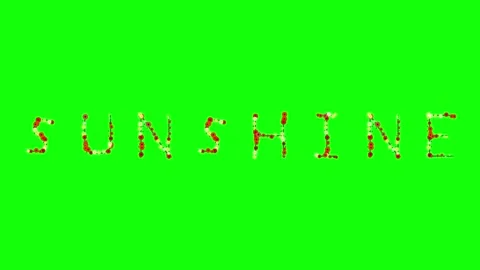 Photo Animated on Chroma Key for Compositing Stock Footage 337996805
