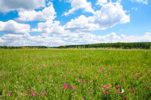 Photo of bright cloudy sky with beautiful meadow below Stock Photos