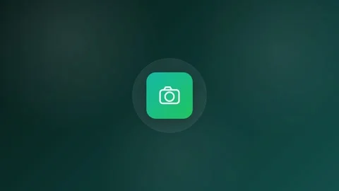 Photo Camera Animated Icon 16:9 Stock Footage 345158582