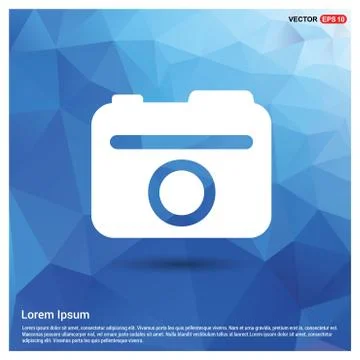 Photo camera icon 스톡 일러스트