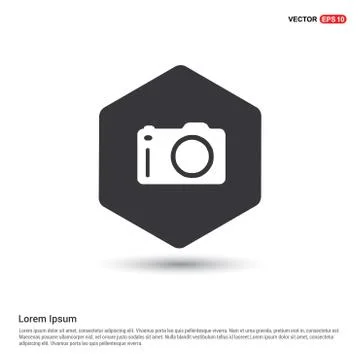 Photo camera icon 스톡 일러스트