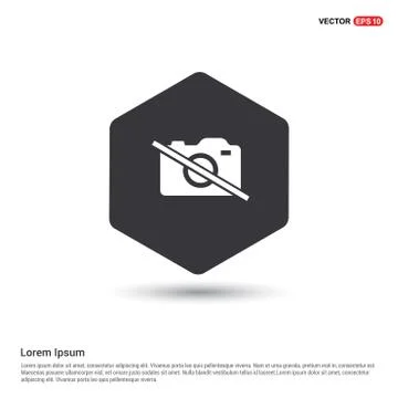 Photo camera icon イラスト素材