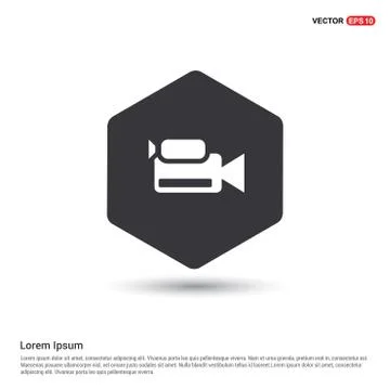 Photo camera icon 스톡 일러스트
