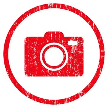 Photo Camera Rounded Grainy Texture Icon Ilustración de archivo