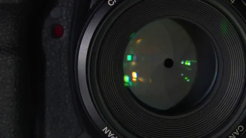 Photo Camera Shoots Stock Footage 77400567