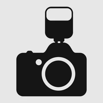 Photo camera vector icon-2 イラスト素材
