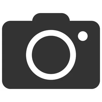 Photo Camera Vector Icon Flat Illustration Stock Illustration