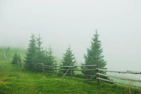 Photo from a camping in the Carpathians during heavy fog Stock Photos