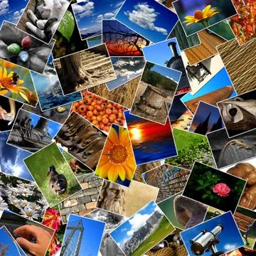 Photo collage Stock Illustration