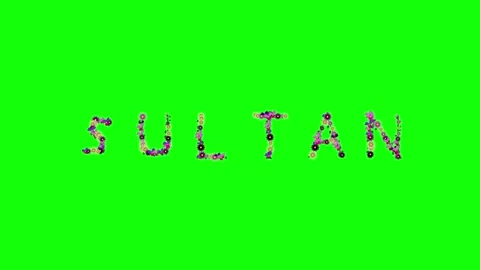 Photo Dancing on Chroma Key for Compositing Video stock 337996770