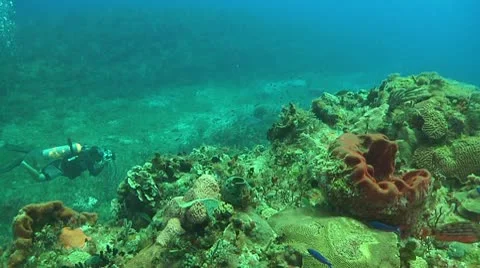 Photo diver 01 Stock-Footage 10711866