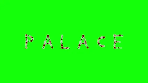 Photo Dynamic Isolated Green Screen Stock Video Stock Footage 337996623