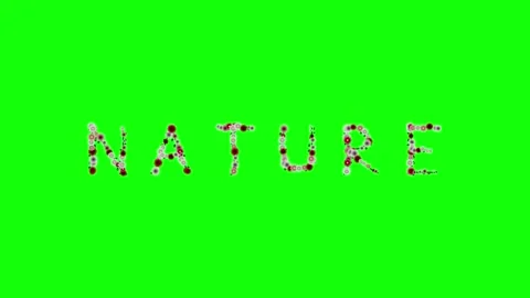 Photo Dynamic with Man - Chroma Key Green Screen Footage Stock Footage 337996581