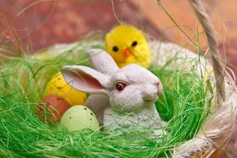 Photo: easter bunny Stock Photos