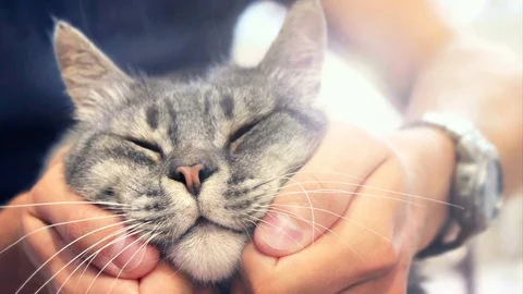 Photo editing work Stock Footage 83394724