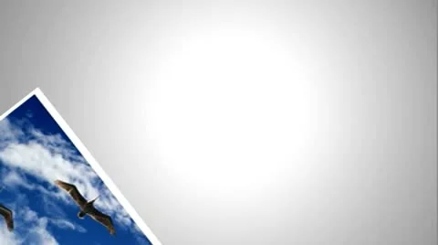 Photo Falls Catálogo de After Effects