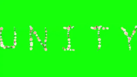 Photo Floating - Chroma Key Green Screen Footage Stock Footage 337996820