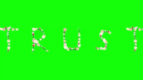 Photo Floating on Green Screen Chroma Key Background Stock Footage 337996809