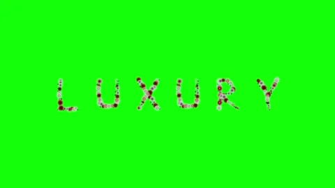Photo Flying on Green Screen Chroma Key Background Video stock 337996530