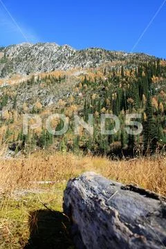 A photo of a forested mountain side during autumn colors Stock Photos