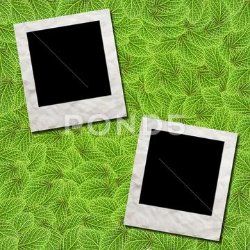 Photo frame green leafs for background Stock Illustration