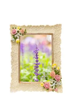 Photo frame with rose texture around border isolated on white and inside with Stock Photos