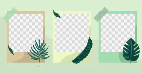 Photo frame set template with cute decorative leaf element Stock Illustration