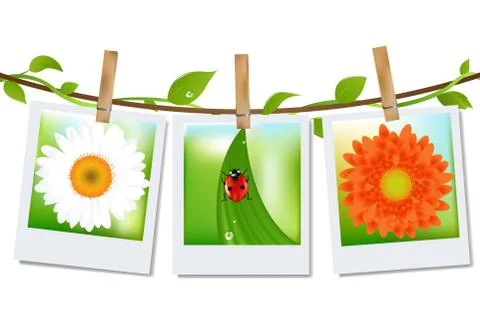 Photo frames with nature image Stock Illustration