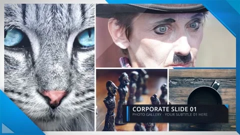 Photo Gallery Стоковые After Effects