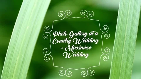 Photo Gallery at a Country Wedding-Maximize Wedding Stock After Effects