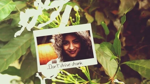 Photo Gallery Dreamy Show Stock After Effects