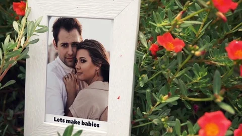 Photo Gallery Perfect Wedding Stock After Effects