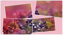 Photo Gallery - slideshow Stock After Effects