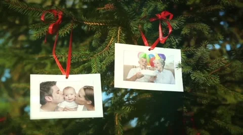 Photo Gallery On The Spruce Summer Stock After Effects