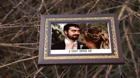 Photo Gallery In a Sunny Or chard Stock After Effects