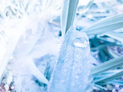 Photo of grass in winter Stock Photos