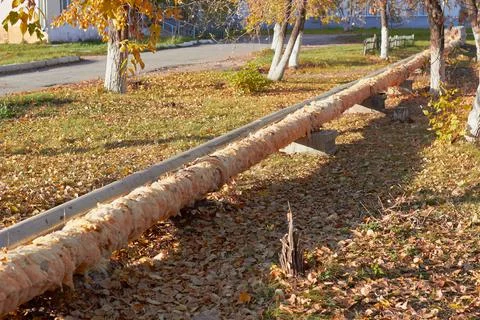 Photo heating pipe is broken, the cold autumn Stock Photos