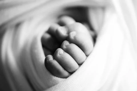 12,300+ Holding Baby Foot Stock Photos, Pictures & Royalty-Free