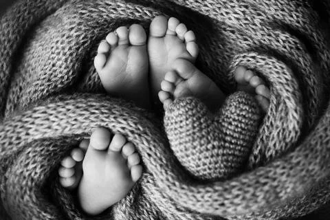 Photo of the legs of a newborn. Baby feet covered with wool isolated background. Stock Photos
