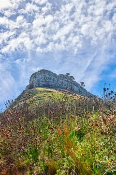 Photo of Lions Head, Cape Town. A photo of Lions Head and surroundings. Cape Stock Photos