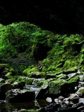 A Photo Looking Out From Within a Cave in The Welsh Highlands Stock Photos