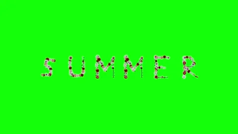 Photo Looping - Chroma Key Green Screen Footage Stock Footage 337996784