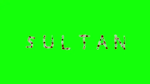 Photo Looping on Green Screen Chroma Key Background Stock Footage 337996768