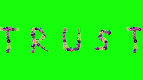 Photo Looping on Green Screen Chroma Key Background Stock Footage 337996804