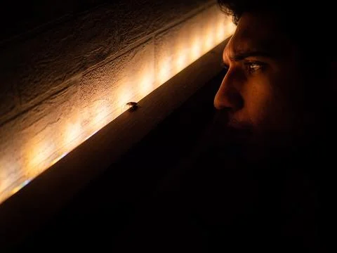 Photo of a man observing a bed bug on a piece of furniture Stock Photos