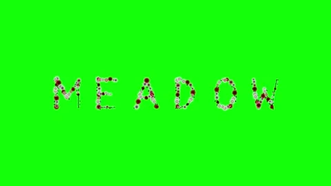 Photo Motion on Chroma Key for Compositing Video stock 337996553