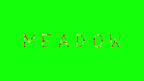 Photo Motion - Chroma Key Green Screen Footage Video stock 337996558
