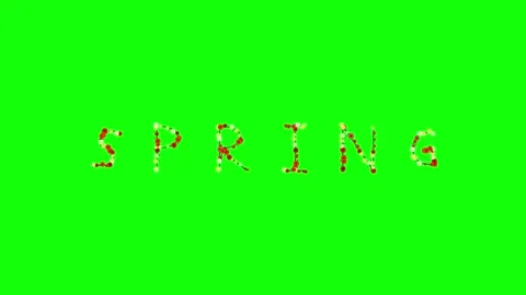 Photo Moving with Clock - Chroma Key Green Screen Footage Stock Footage 337996746