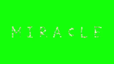 Photo Moving on Green Screen Chroma Key Background 스톡 동영상 337996565