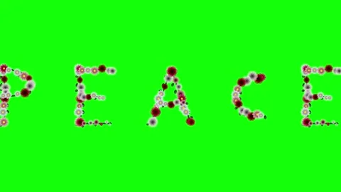 Photo Moving on Green Screen Chroma Key Background Stock Footage 337996629